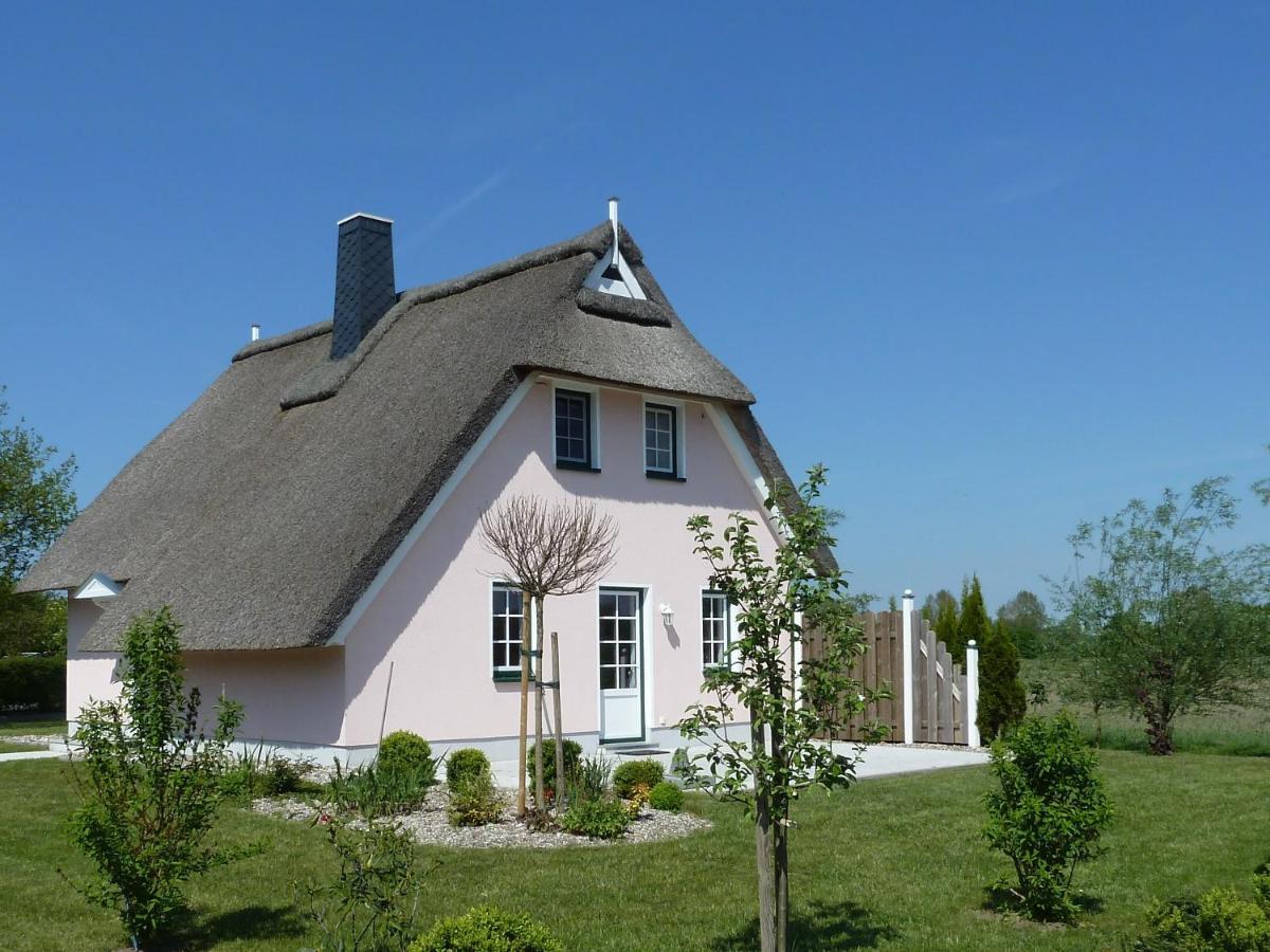 Ferienhaeuser Salzhaff-Romantik Tessmannsdorf ภายนอก รูปภาพ