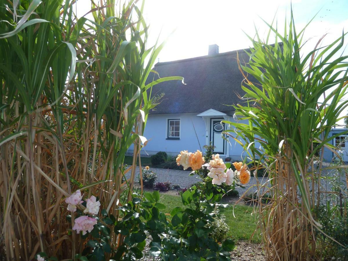 Ferienhaeuser Salzhaff-Romantik Tessmannsdorf ภายนอก รูปภาพ